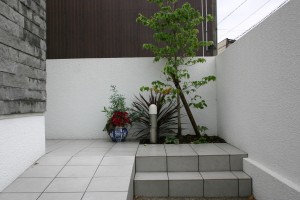 角のデッドスペースにはハナミズキを植えています