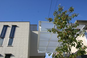 ソヨゴの赤い実が美しい
