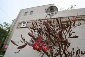 チーク材｜木製ベンチのあるお庭　たつの市T様邸7