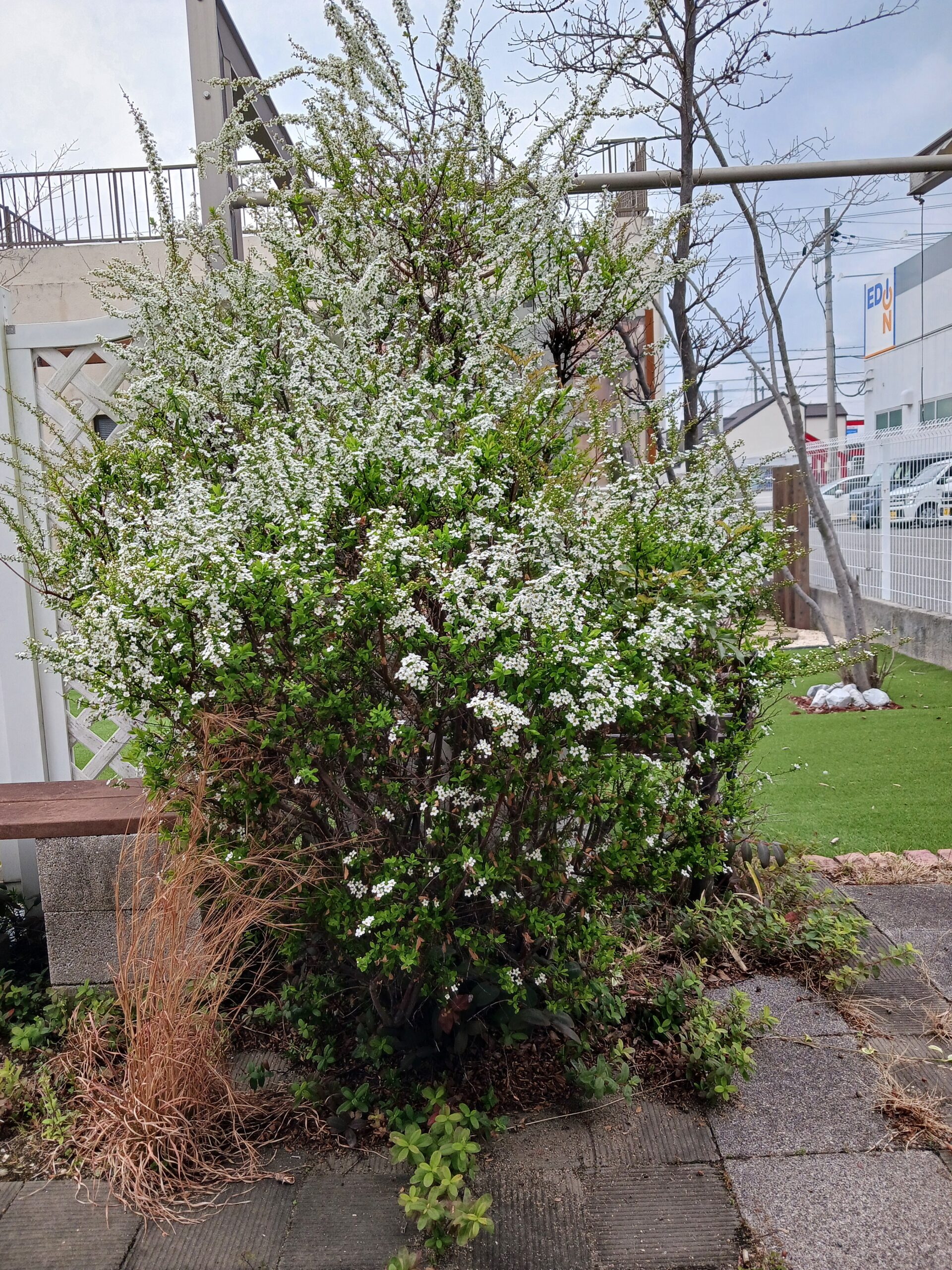 姫路外構　エクステージ　ガーデン日記　