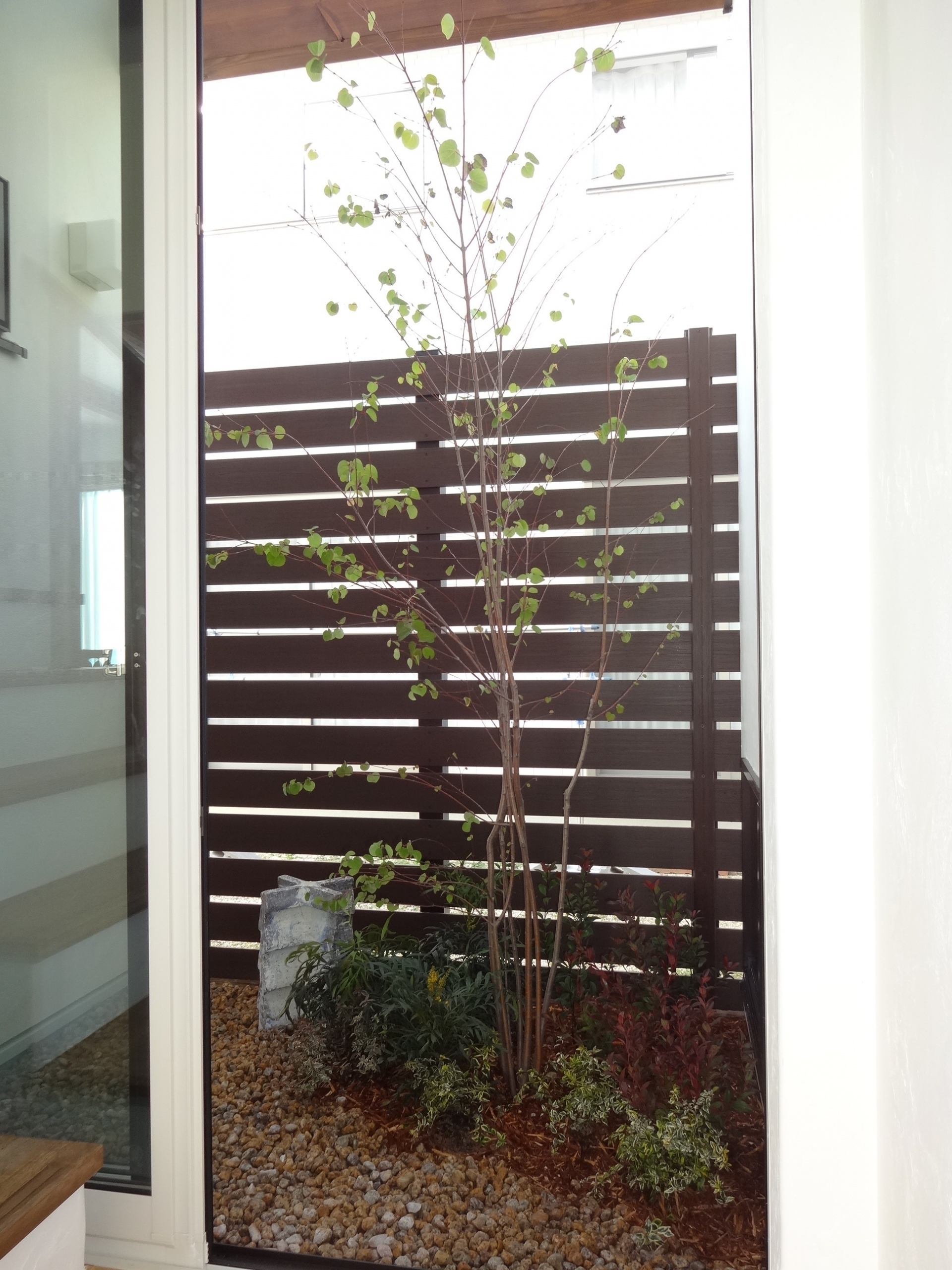 ナチュラルで可愛いお家に合わせてデザイン 太子町M様邸坪庭 ナチュラルで可愛いお家に合わせてデザイン 太子町M様邸坪庭