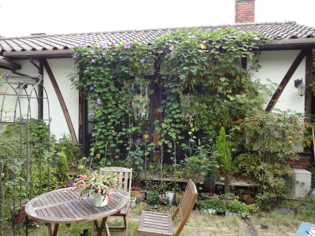 ウリン材パーゴラ施工前