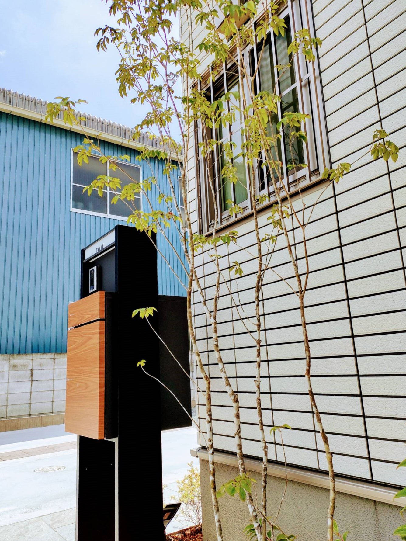 モダン住宅外観に強いインパクトをあたえるシンプルカーポート　姫路市T様邸　涼しげなシンボルツリーのアオダモ