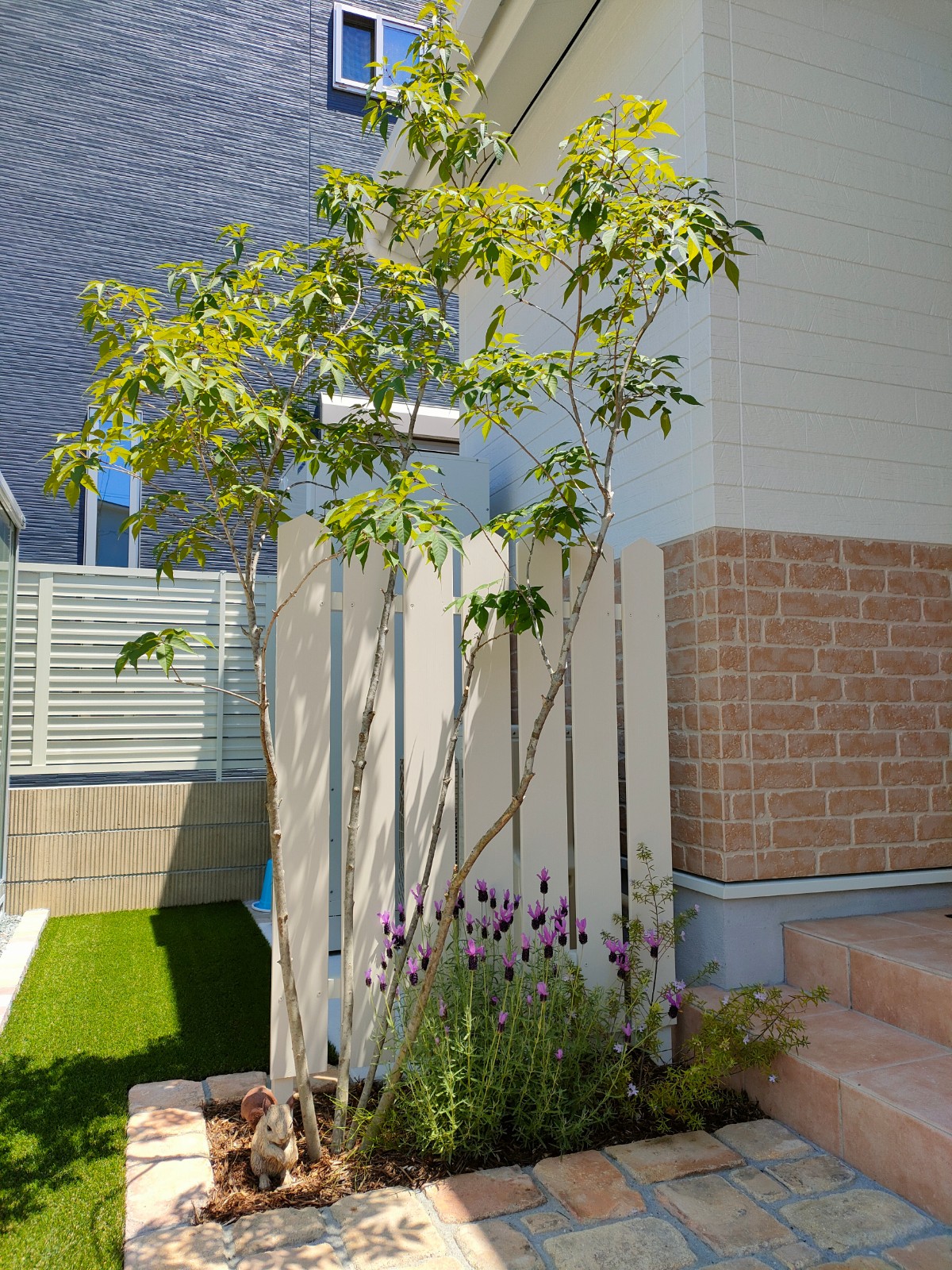 アオダモとアメリカンフェンス　たつの市Ｙ様邸