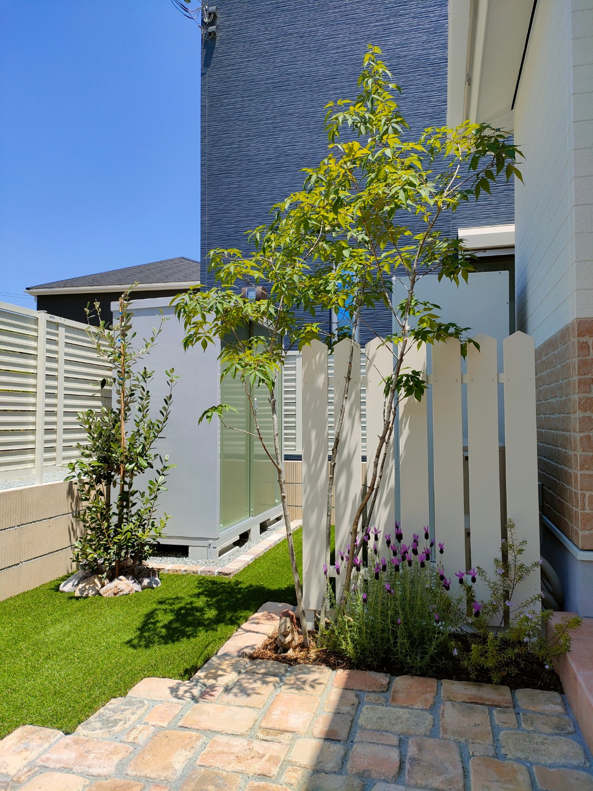 アオダモとフェイジョア　たつの市Ｙ様邸