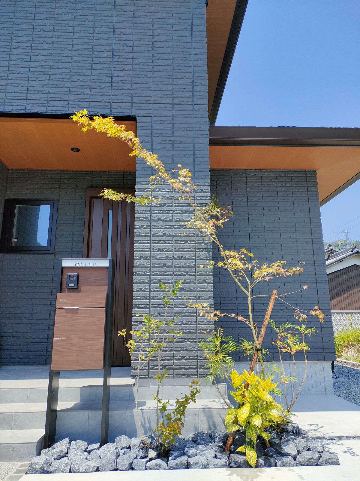 ヤマモミジ　ミツバツツジ　斑入りアオキ