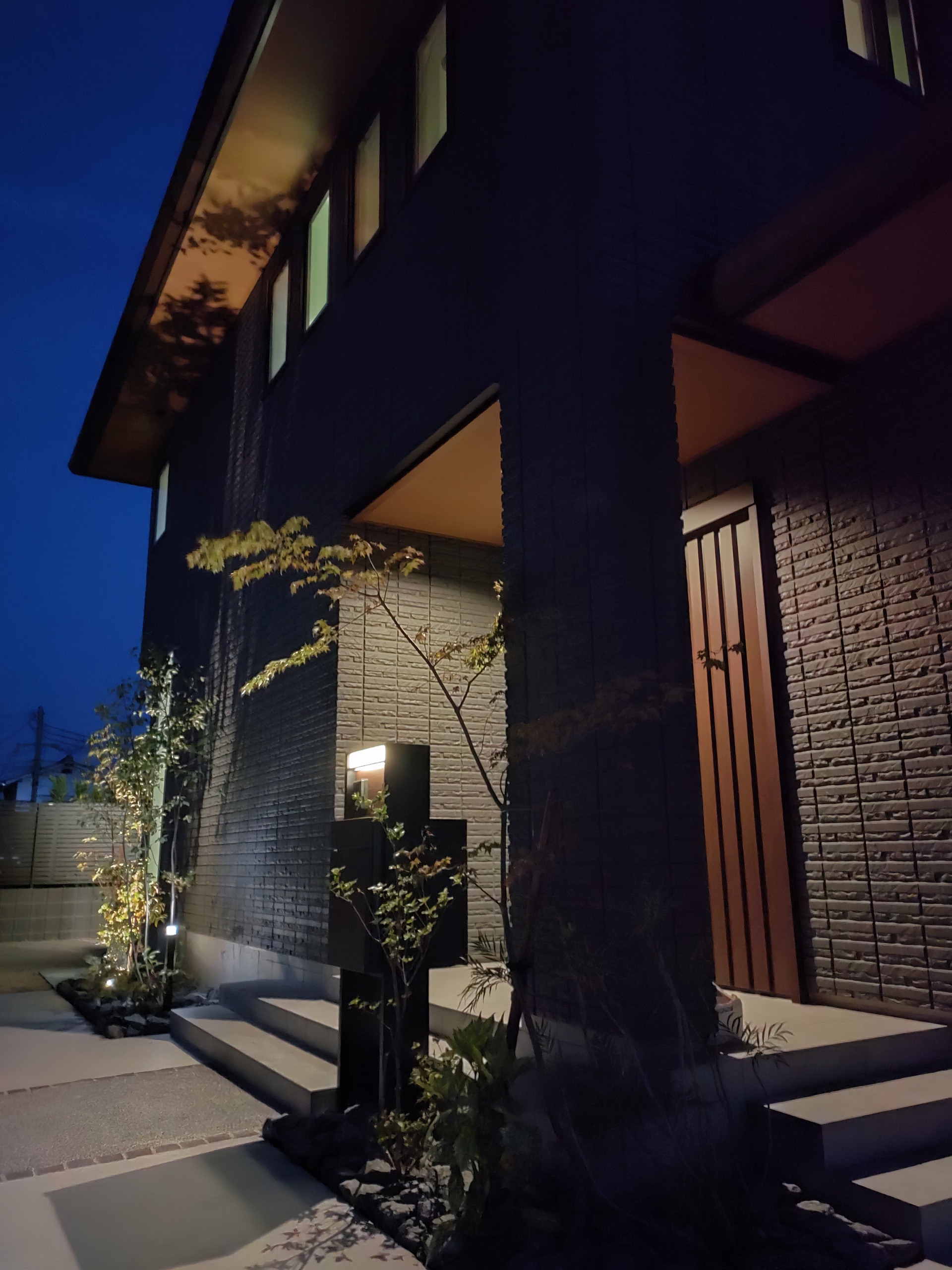 ヤマモミジ　ミツバツツジ　斑入りアオキライトアップ写真