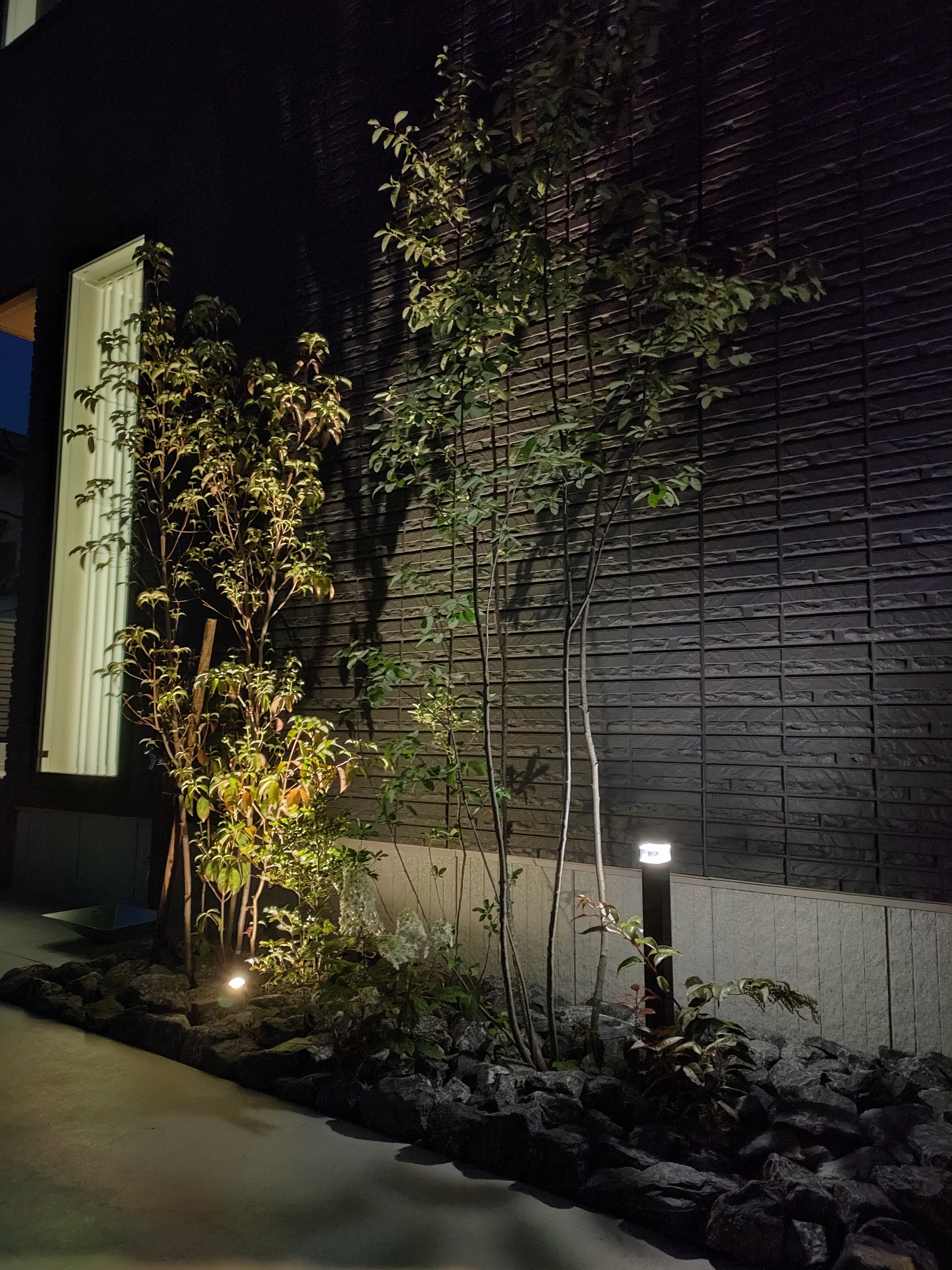 足元からのライトアップ