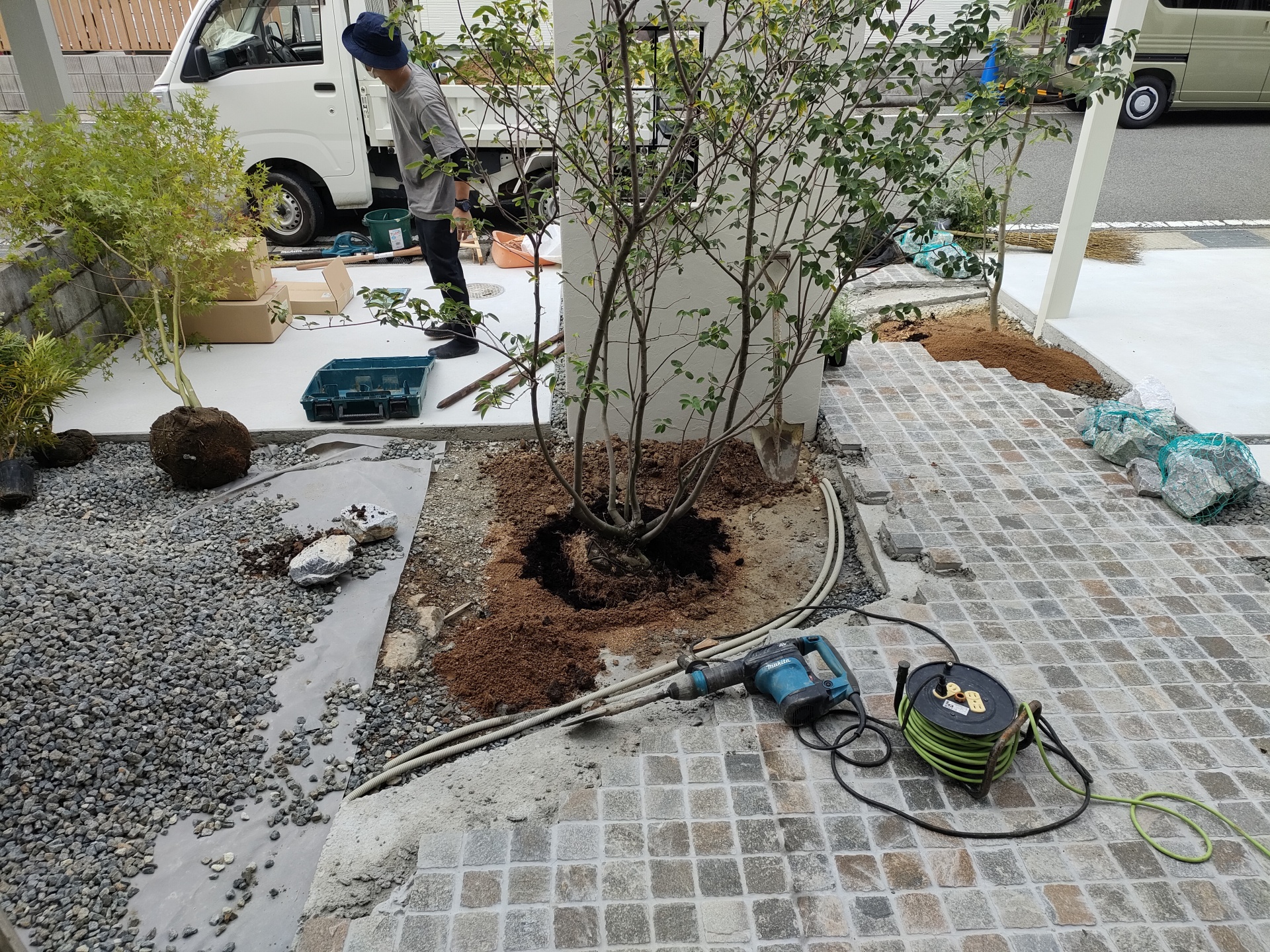 ヤマモミジも候補にありましたがジュンベリーで決まり！