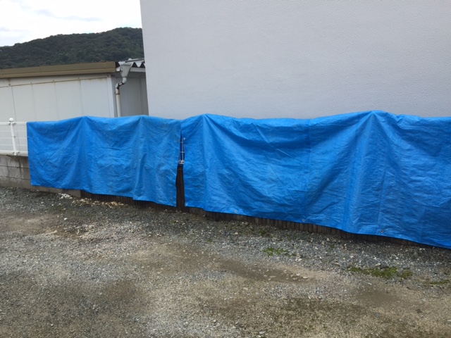現場養生シート2
