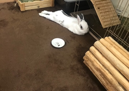 姫路エクステリア屋さん　ブログ