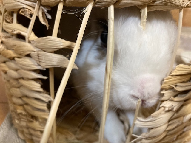 体調管理