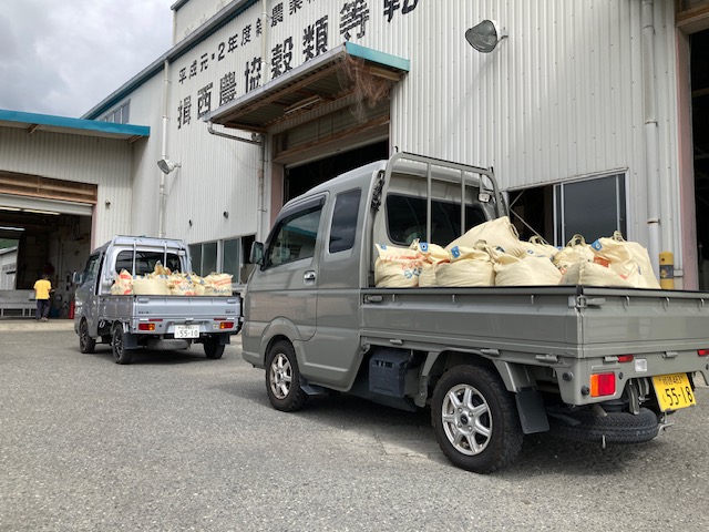 稲刈り２０２５秋