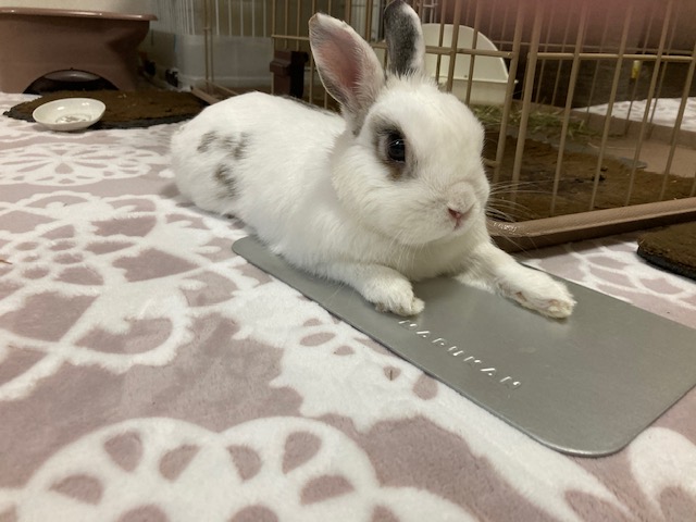 まだ暑いのかな