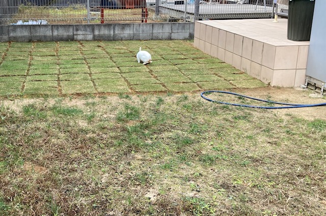 コストを抑えた車庫拡張砕石敷