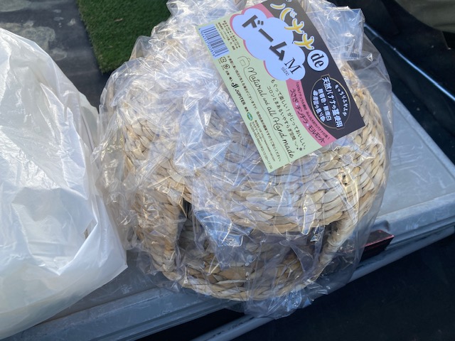 セロくんの誕生日