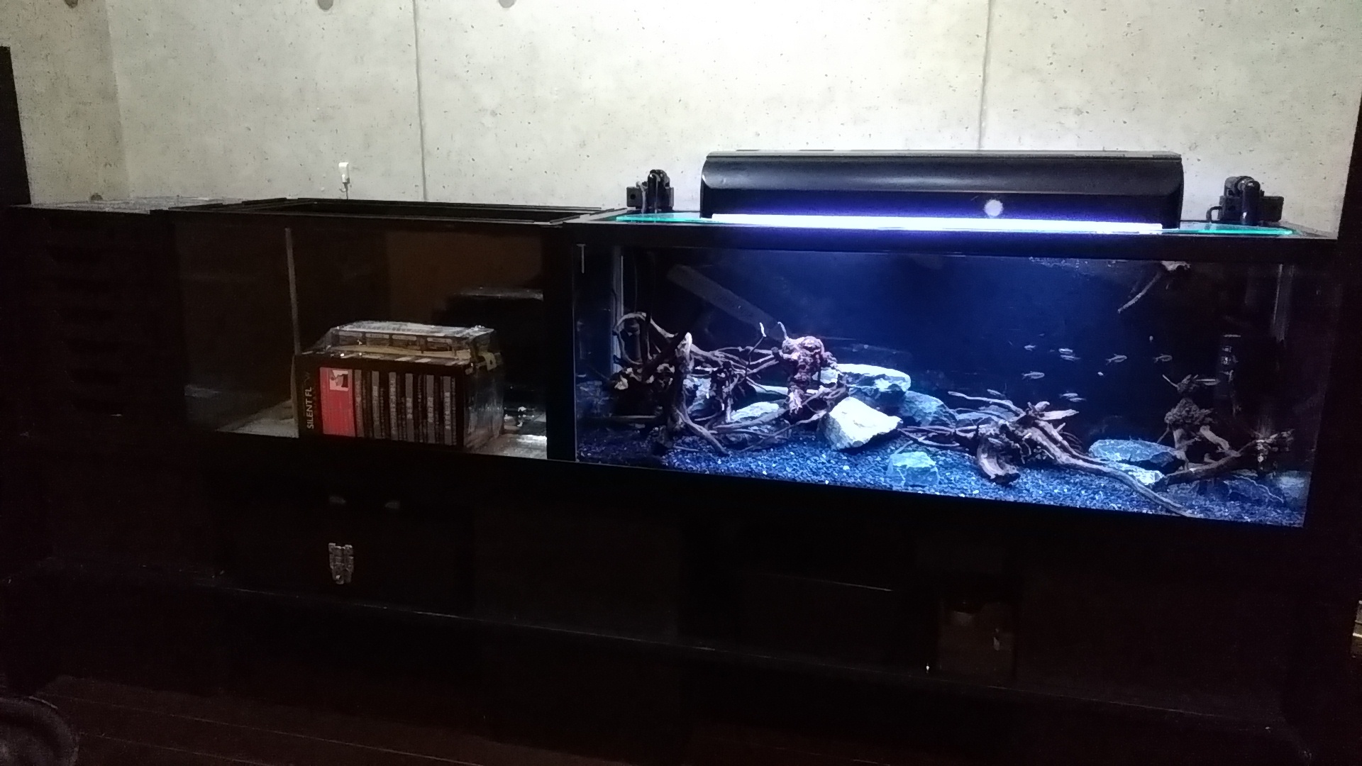 姫路熱帯魚エクステリア