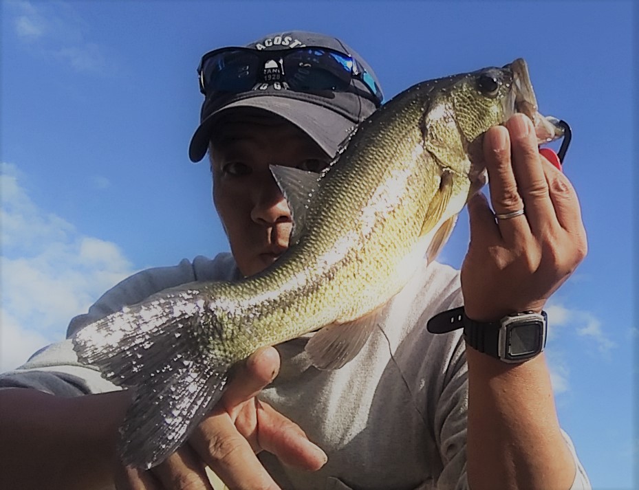 姫路BASSER　バス釣り