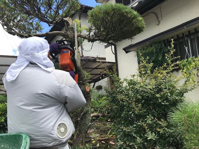 庭木の整理　姫路エクステリア 植木処分