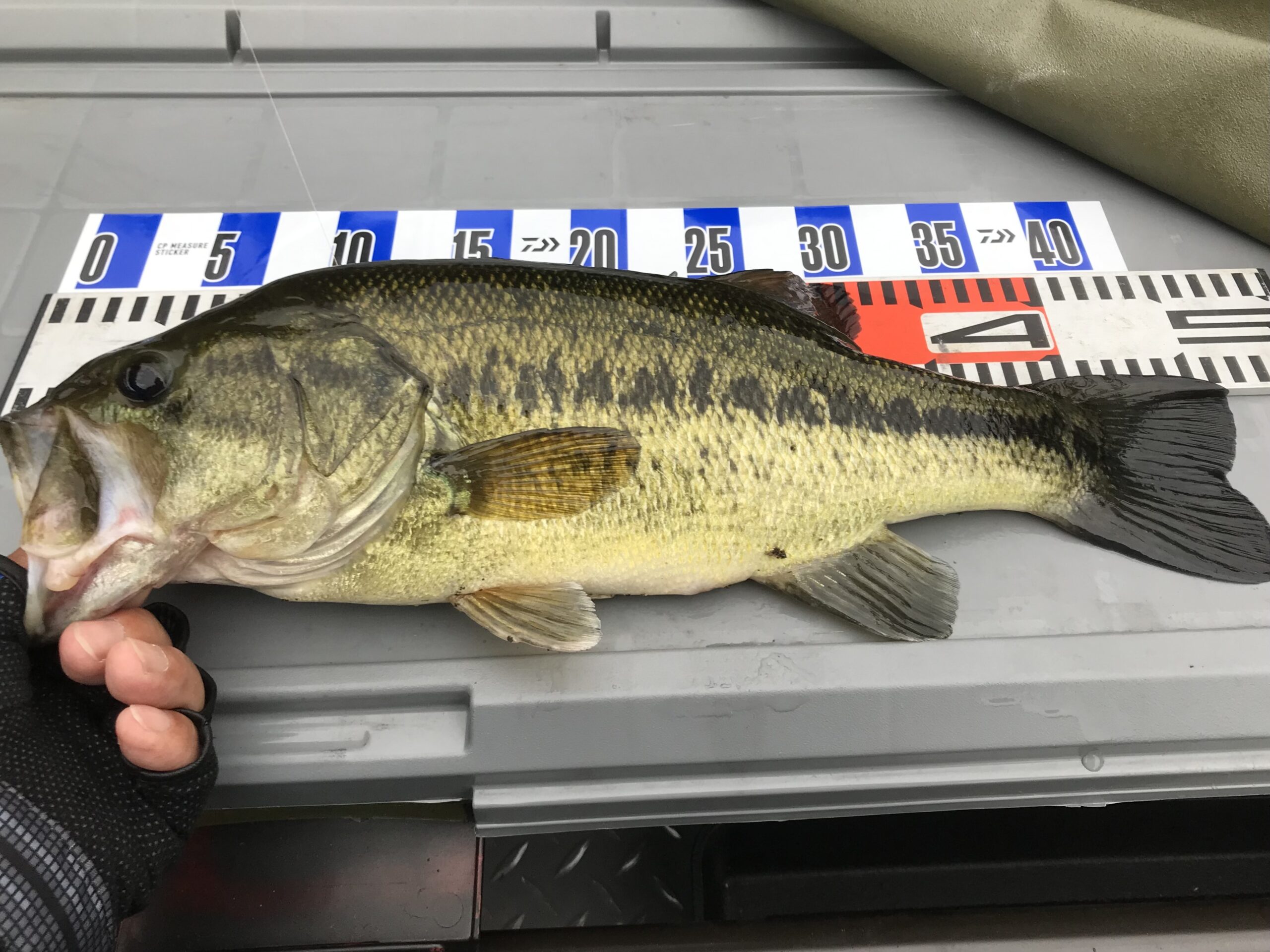 もうすぐバス釣りのシーズンです　姫路バス釣りブログ