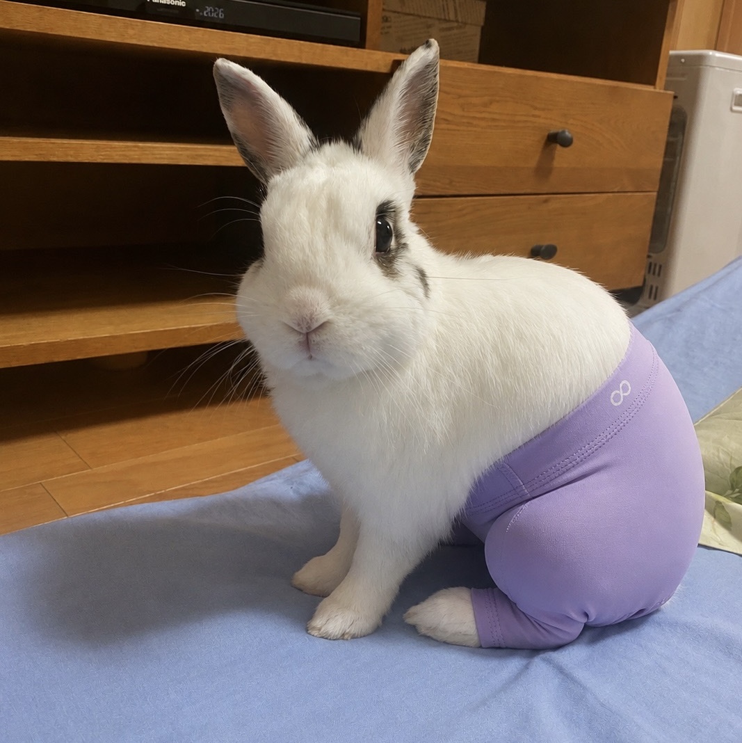 大好評につき