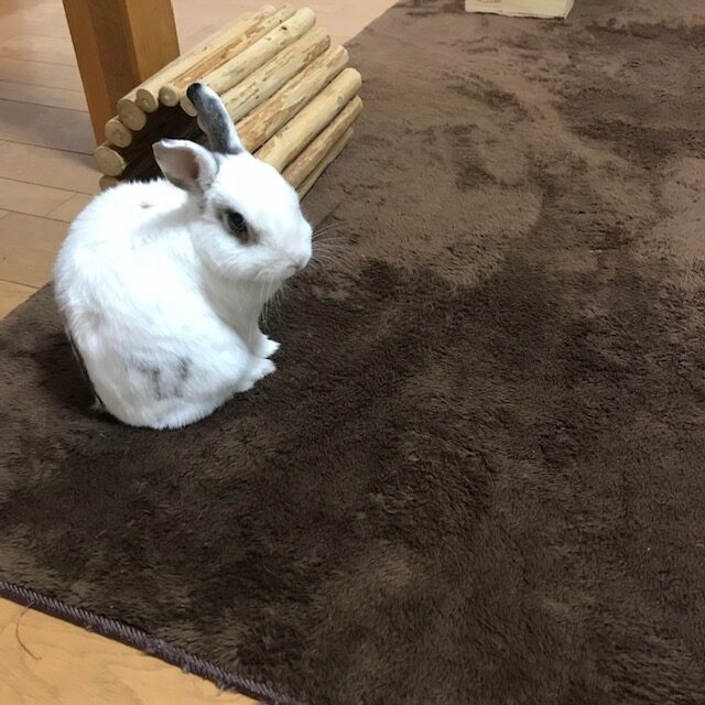 今年もありがとうございました