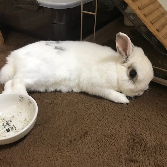 寒くなります(^^♪