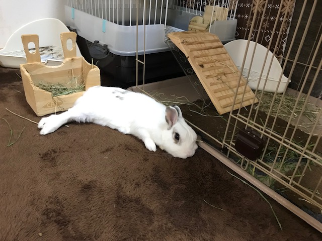 セロくん　久しぶり(^^♪　