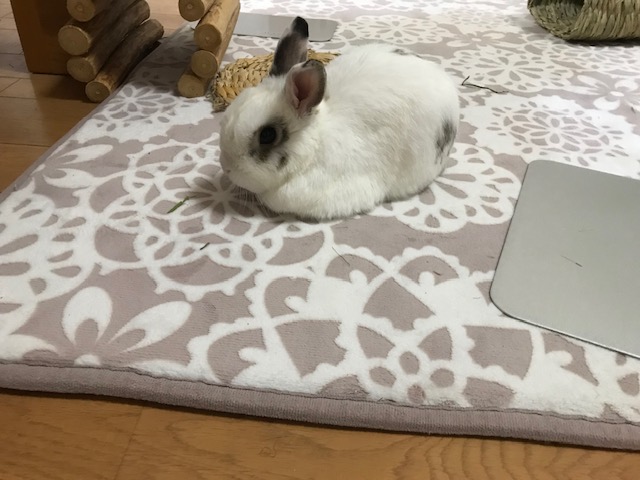 ご機嫌ななめ