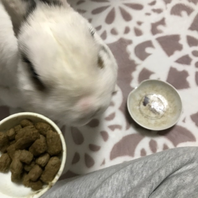 溝掃除の時期です　姫路外構屋ブログ