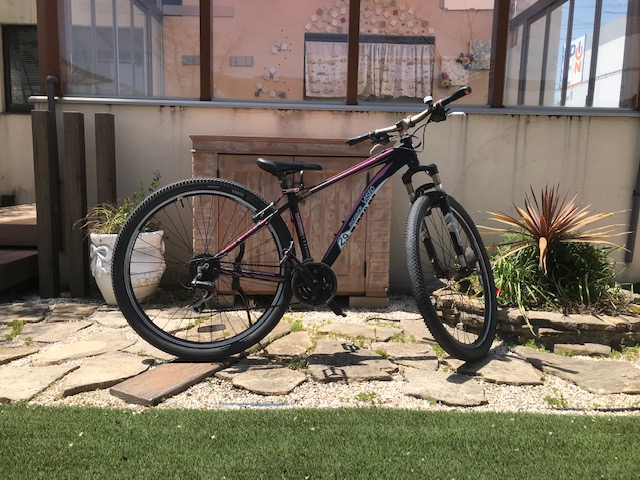 マウンテンバイク２９inch買いました　姫路外構屋さんブログ
