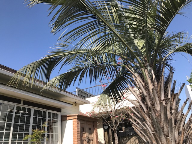 エクステージのモデルガーデンにようこそ