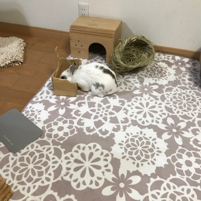 GWのすごしかた　姫路外構屋ブログ