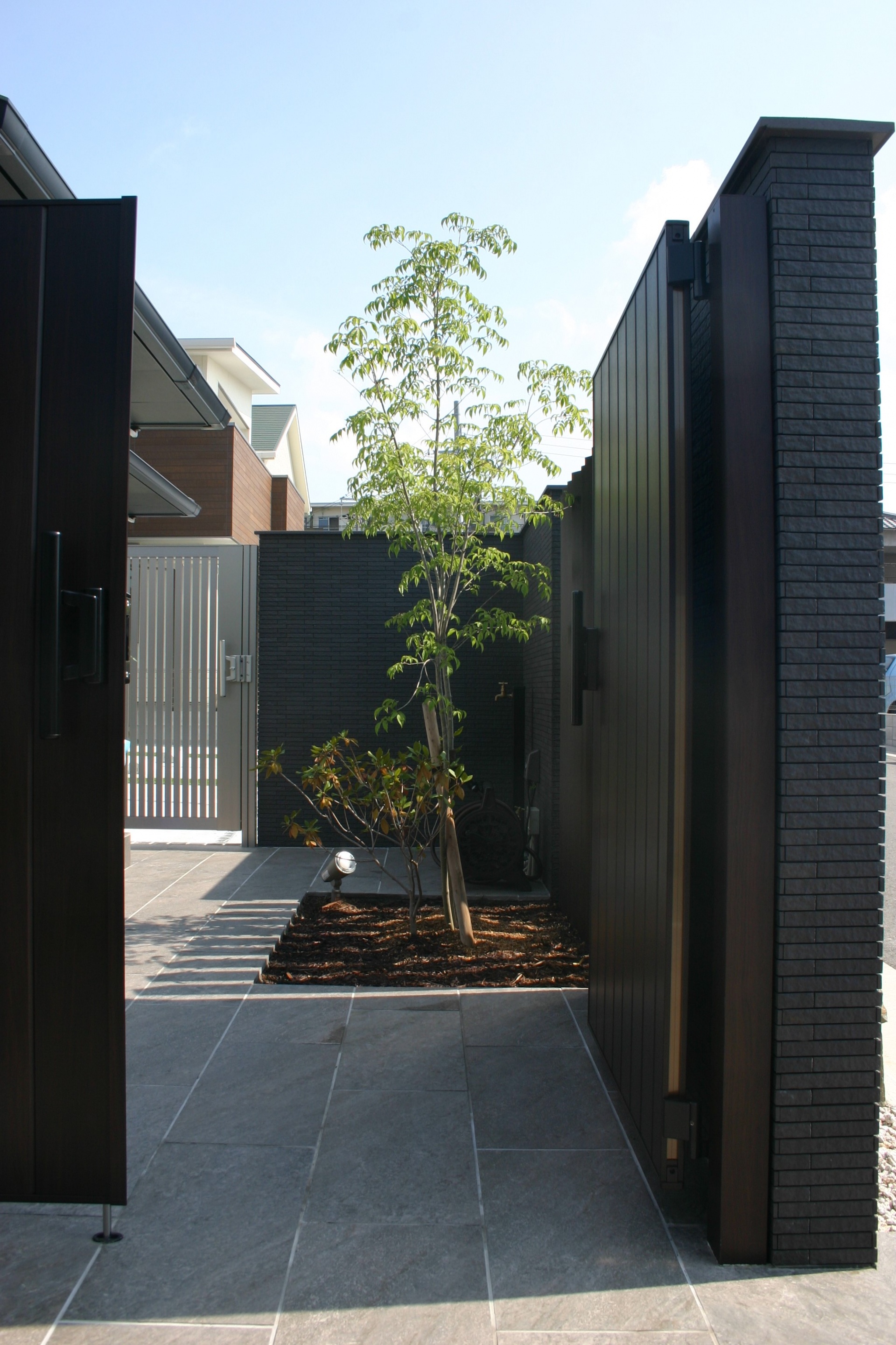 門扉を開けると見えるアオダモ　加古川市S様邸