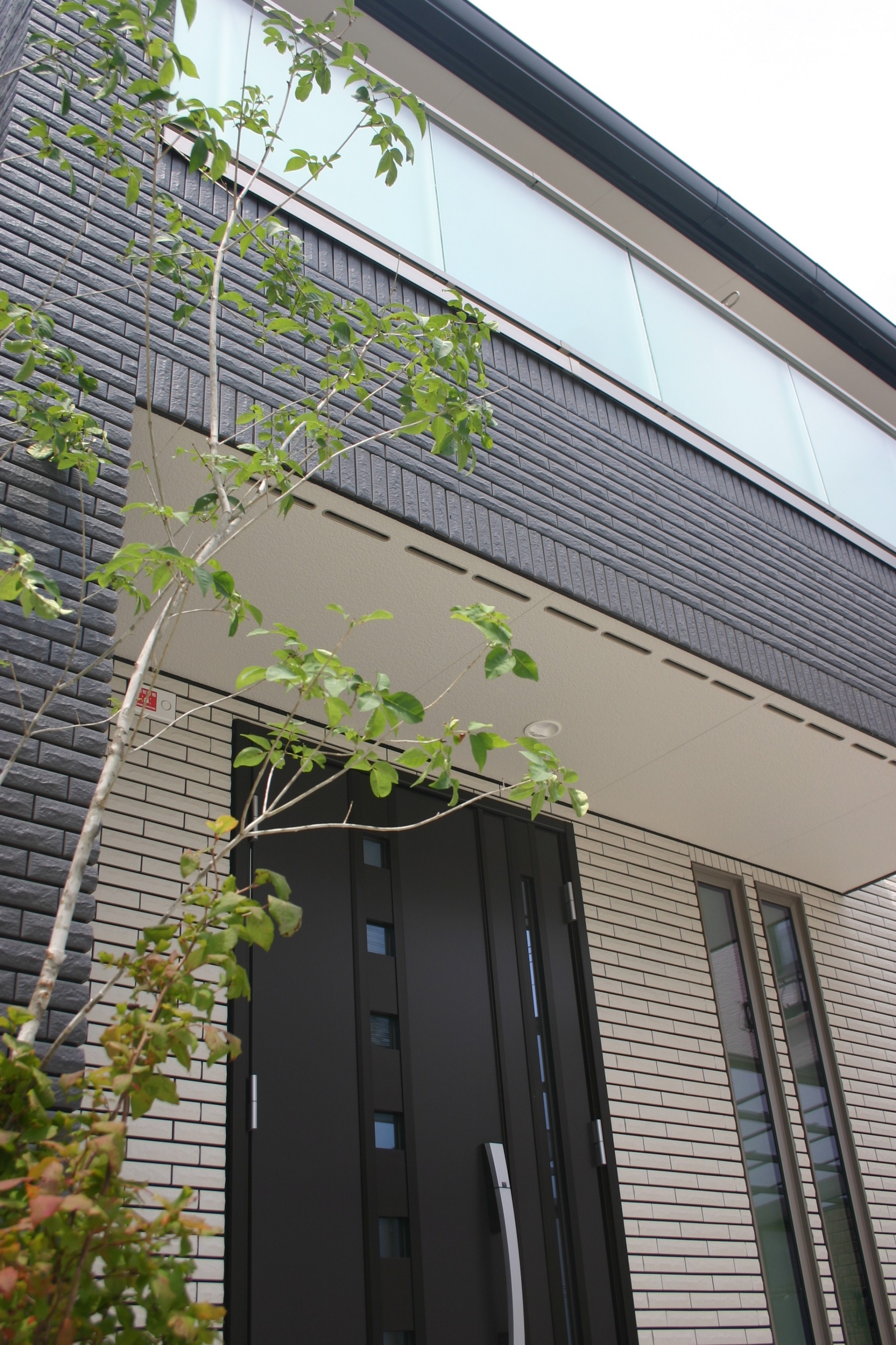 加古川市U様邸玄関前にシンボルツリーのアオダモ