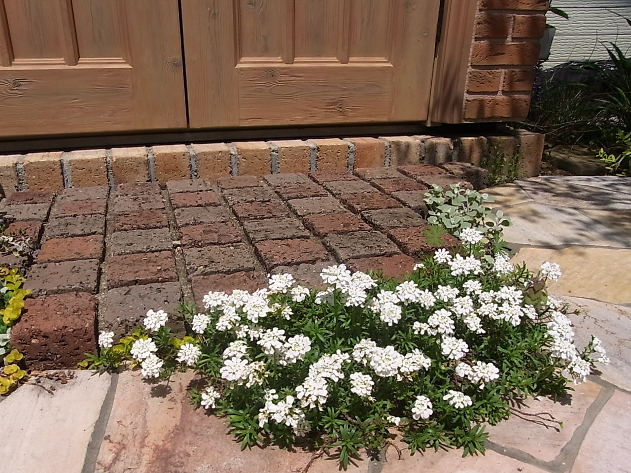 ステップに小花エクステリアガーデン