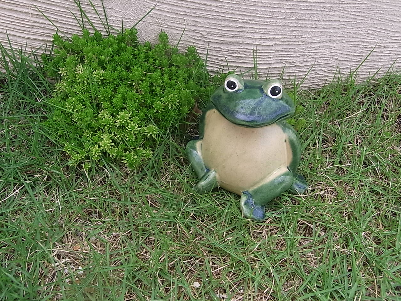 OB様向け・芝生のお手入れ講座（＾◇＾）