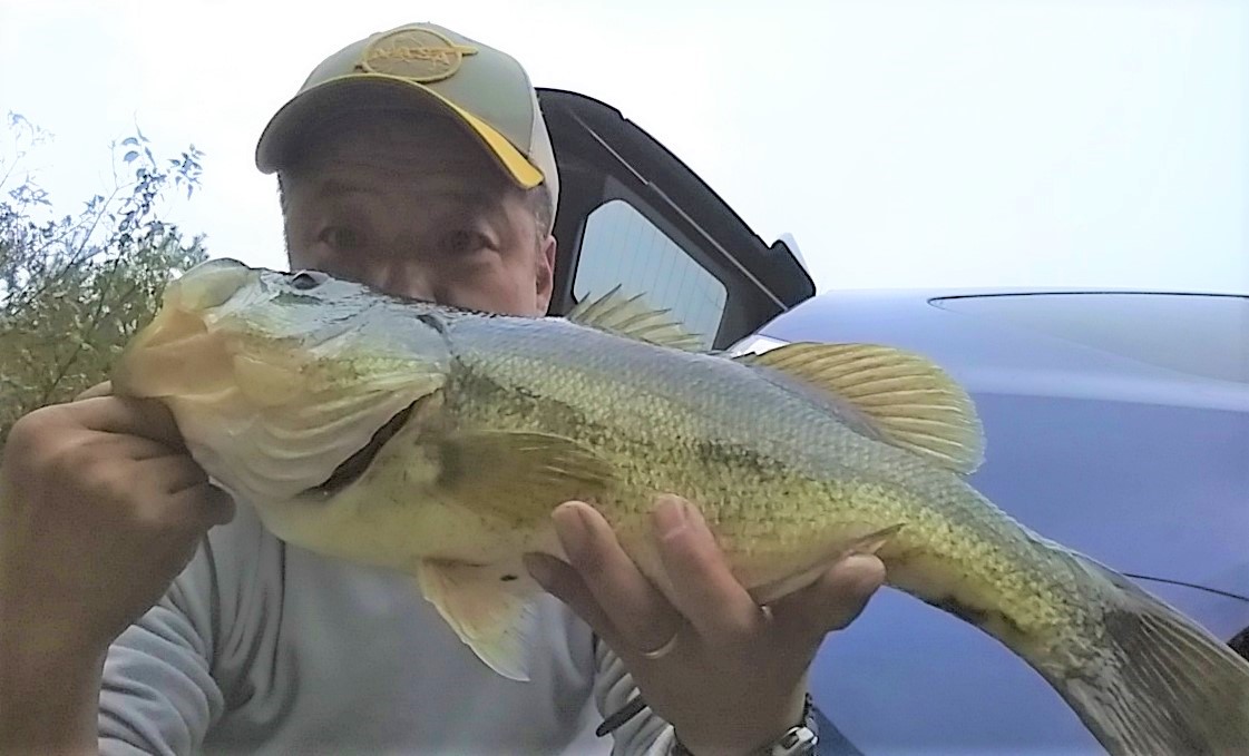 姫路ランカーバス