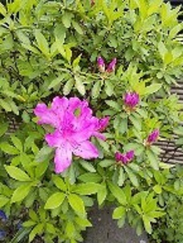 平成も後1日ですね！　姫路外構専門店